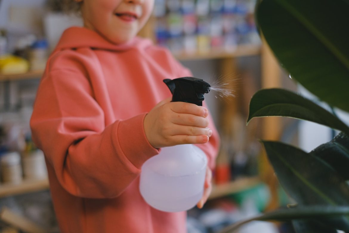 Handige tips voor besproeien van uw tuin! Handige tips voor besproeien van uw tuin!