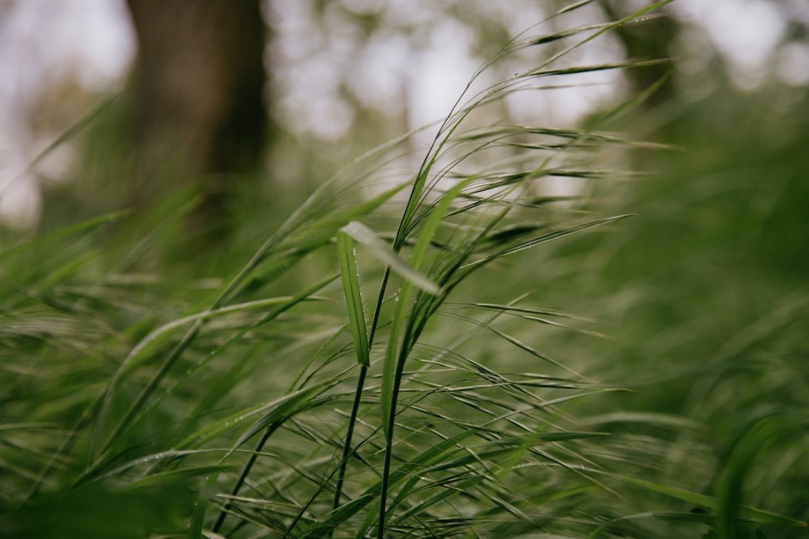 Zonder wind in de tuin zitten Zonder wind in de tuin zitten