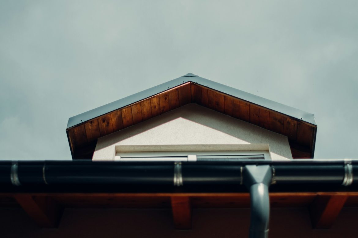 teo-sticea-V25B29tzuO8-unsplash (5)