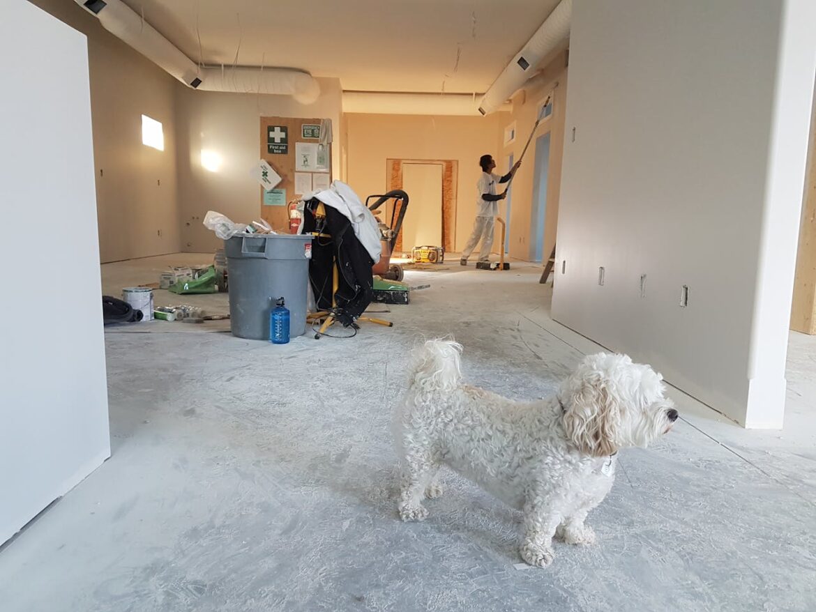 pexels-cal-david-231581-735319 Dit is waarom een constructieberekening in veel gevallen noodzakelijk is